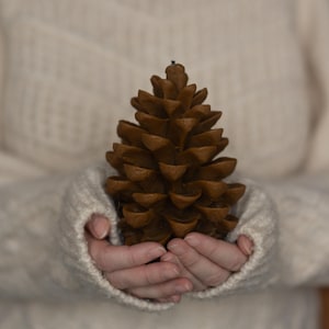Velas de piña, vela de cera de abejas, velas de otoño, decoración de centros de mesa, decoración de vajilla, vela decorativa navideña