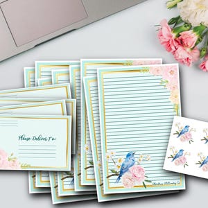 Set di cancelleria Bluebird Floral Half Sheet / Carta a righe o non a righe / Sigilli per buste / Buste / Scrittura di lettere / Posta lumaca / Pen Pal