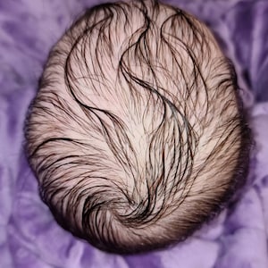 Reborn-Rooting-Dienst