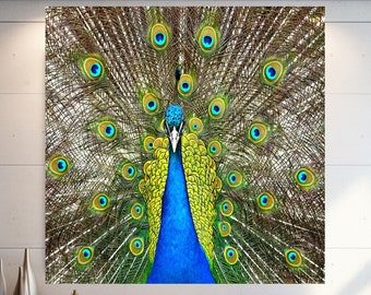 Peacock Wall Art, Animal Glass Wall Art, Beautiful Peacock Wall Decor, Extra Large Wall Art, Tempered glass wall art, Canvas Wall Art