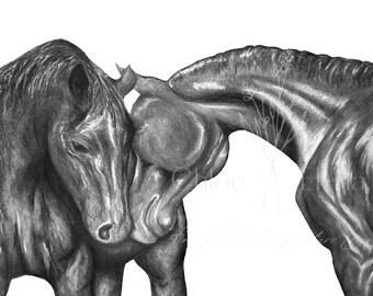 Charcoal horse art  Etsy