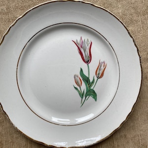 May include: White ceramic plate with a gold rim and a scalloped edge. The plate features a floral design of tulips in shades of red, white, and orange with green leaves. A gold band encircles the center of the plate.