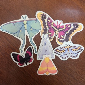 Moth Sticker Pack/ Sticker Pack / Vinyl Sticker / Journaling / Scrapbooking / Hydroflask /Hydroflask Sticker / Moth / Butterfly