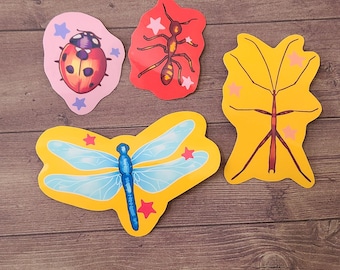 Four Creepy Crawlies / Stickers Bundle / Water Resistant Stickers / Bug Stickers / Bugs / Beetle Sticker / dragonfly / Insect Stickers