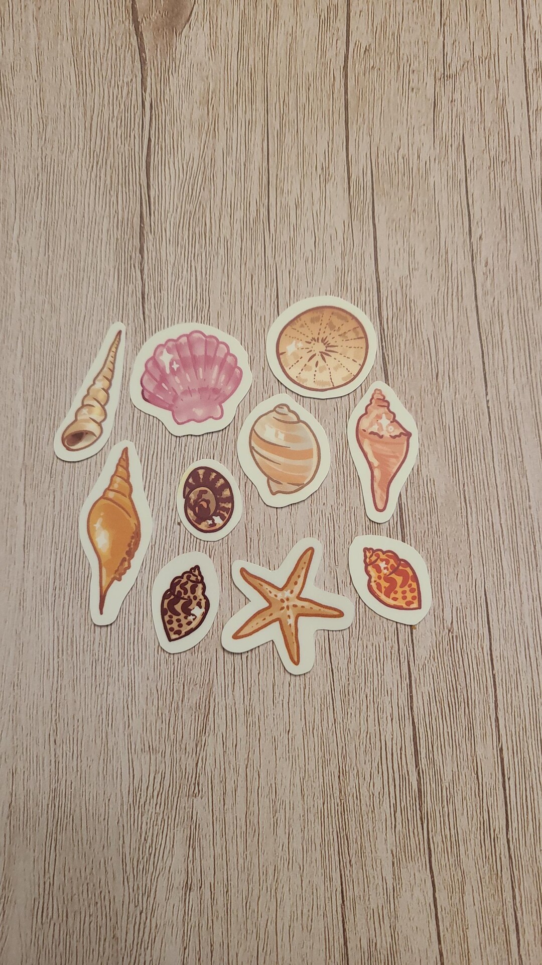 Cute Shell Sticker Mini Seashell Sticker Pack / 10 Mini Sticker Pack / Cute Stationary ...