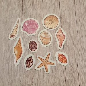 May include: A collection of seashell stickers in various shapes and colors, including pink, orange, and brown. The stickers feature detailed illustrations of conch shells, starfish, and other marine life, perfect for crafting or decorating.