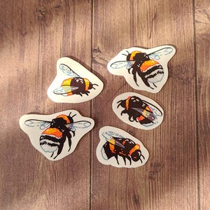 Op de afbeelding: Vijf zwarte en gele hommelstickers op een houten achtergrond. De hommels zijn in verschillende poses, sommige met hun vleugels uitgespreid en sommige met hun vleugels gevouwen.