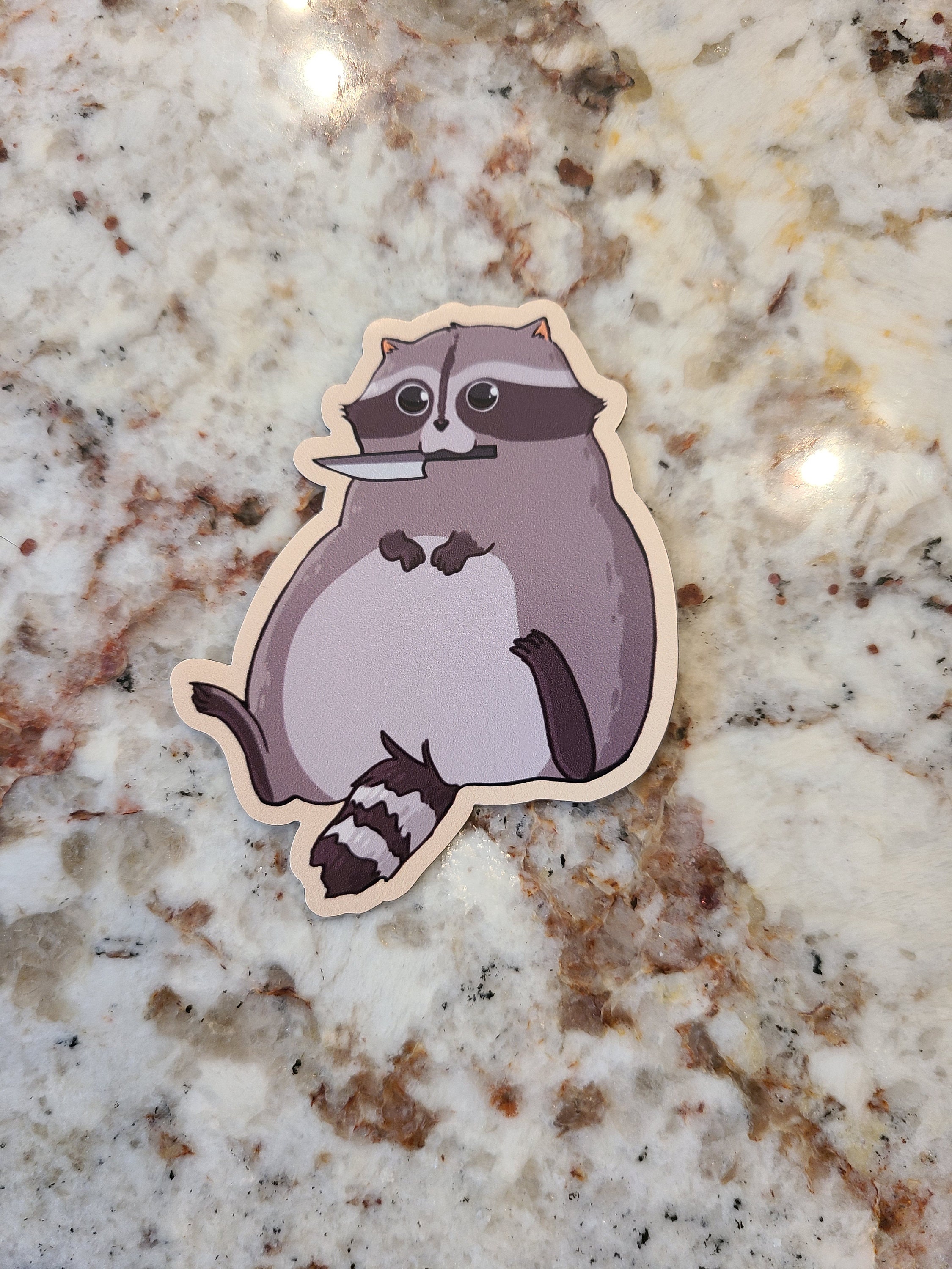 Funny clever sassy refridgerator magnet for women gift by Raccoon Society  USA – The Raccoon Society