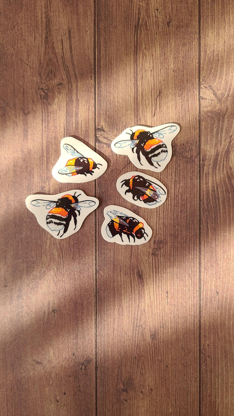 Op de afbeelding: Vijf hommelautocollants op een houten achtergrond. De stickers zijn wit met zwarte en gele hommels.