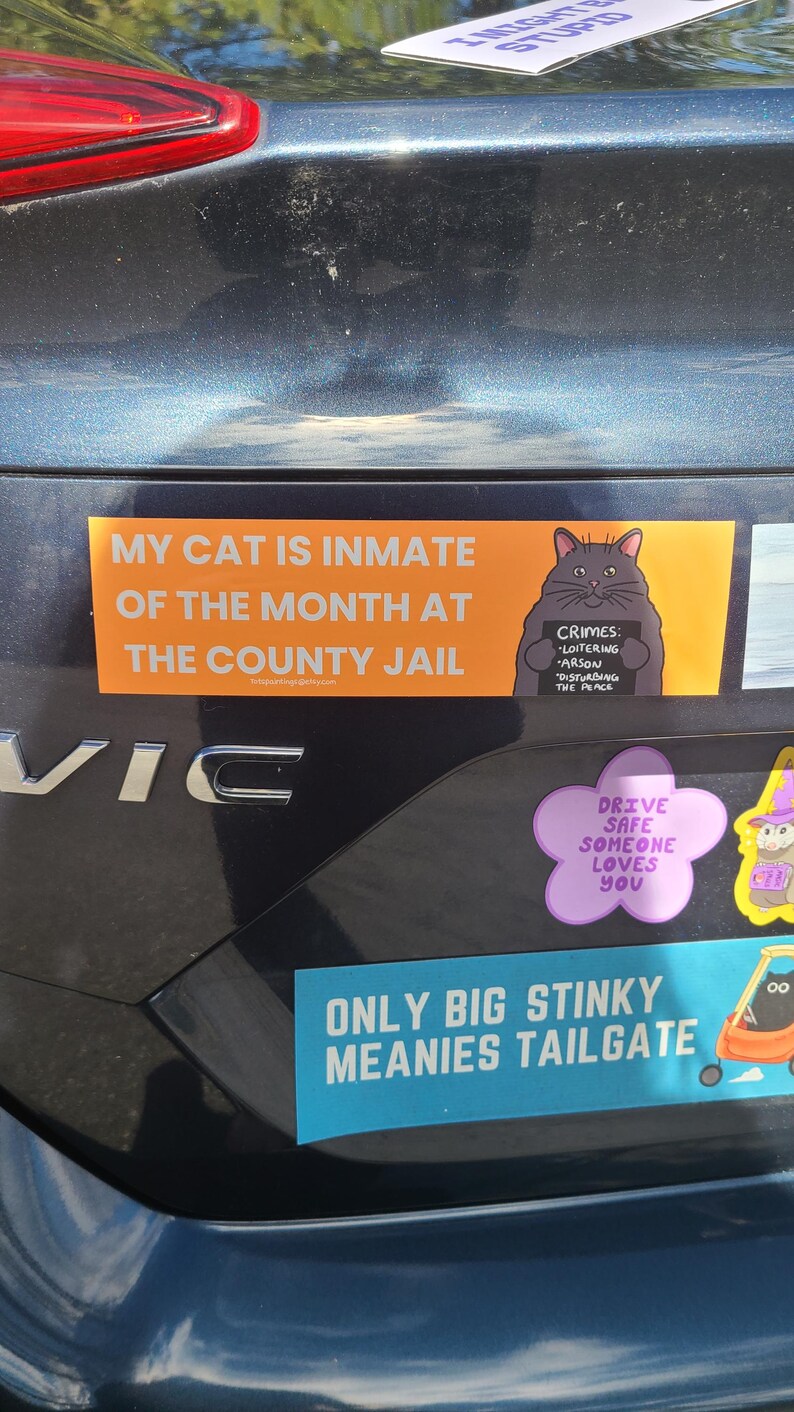 May include: A collection of bumper stickers on a car. One sticker reads "MY CAT IS INMATE OF THE MONTH AT THE COUNTY JAIL" with a cartoon cat holding a sign. Other stickers include "DRIVE SAFE SOMEONE LOVES YOU" and "ONLY BIG STINKY MEANIES TAILGATE."