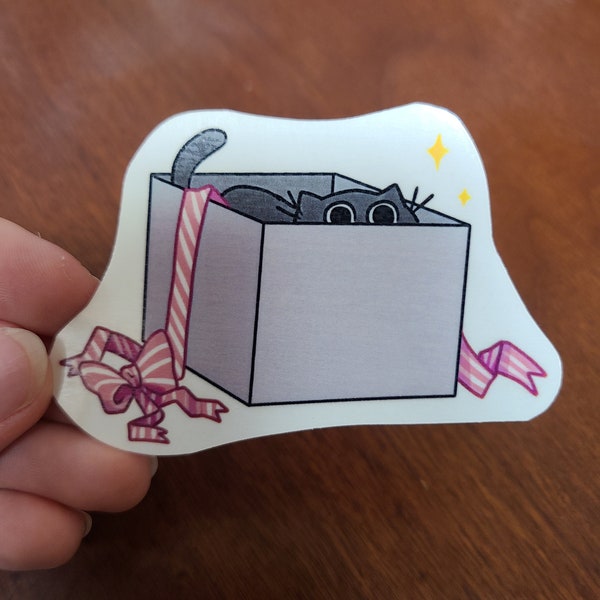 Box Kitty Sticker / Cat Sticker / Vinyl Sticker / Journaling / Scrapbooking / Hydroflask /Hydroflask Sticker / Cat