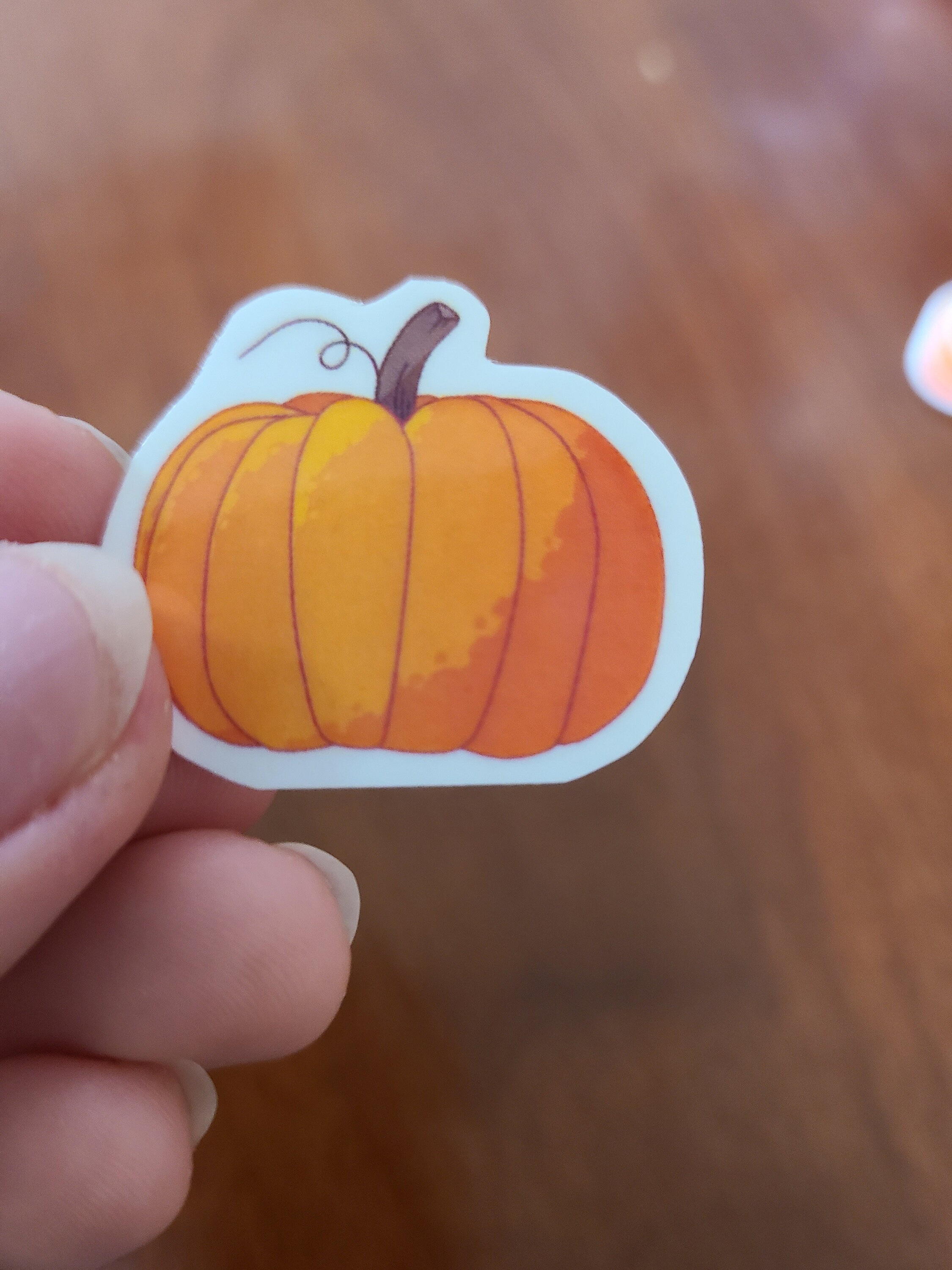 5 Mini Pumpkins Pumpkin Stickers Hydroflask Hydroflask Etsy 5 Mini Pumpkins Pumpkin Stickers Hydroflask Hydroflask Etsy