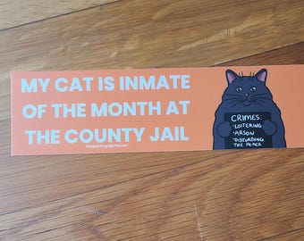 Cat Bumper Sticker / Funny Bumper Sticker / Vinyl Sticker / Cute Sticker / Waterproof Sticker / Black Cat / Black Cat Sticker / Car Decal
