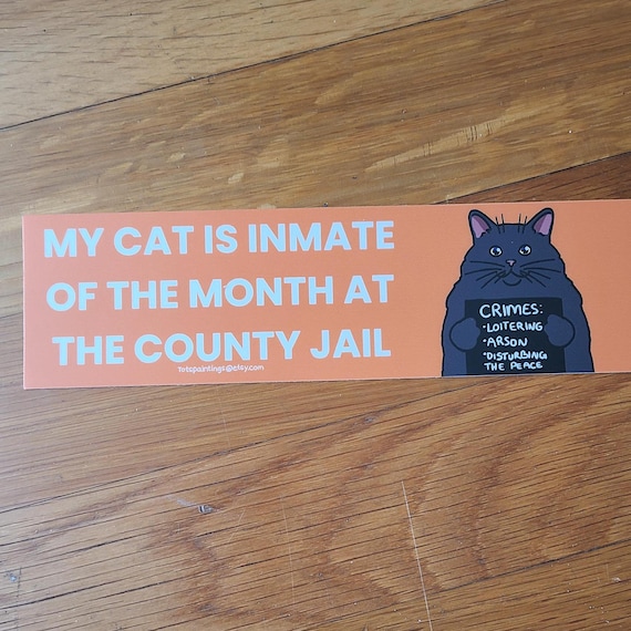 Cat Bumper Sticker / Funny Bumper Sticker / Vinyl Sticker / Cute Sticker / Waterproof Sticker / Black Cat / Black Cat Sticker / Car Decal