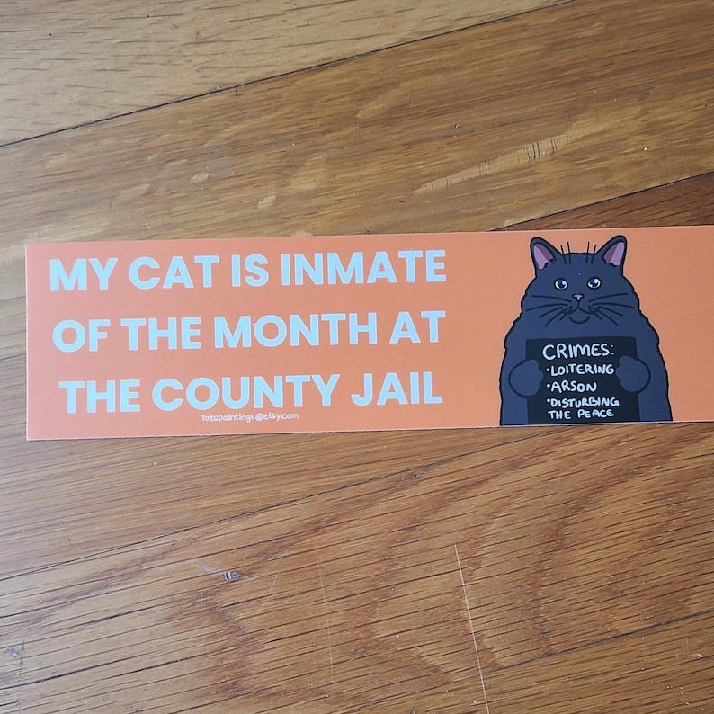 May include: An orange bumper sticker with white text that reads "MY CAT IS INMATE OF THE MONTH AT THE COUNTY JAIL." A cartoon cat holding a sign that says "CRIMES: LOITERING, ARSON, DISTURBING THE PEACE" is on the right.