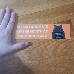 May include: An orange sticker with the text "MY CAT IS INMATE OF THE MONTH AT THE COUNTY JAIL." A cartoon cat illustration holds a sign that reads "CRIMES: LOITERING, ARSON, DISTURBING THE PEACE."