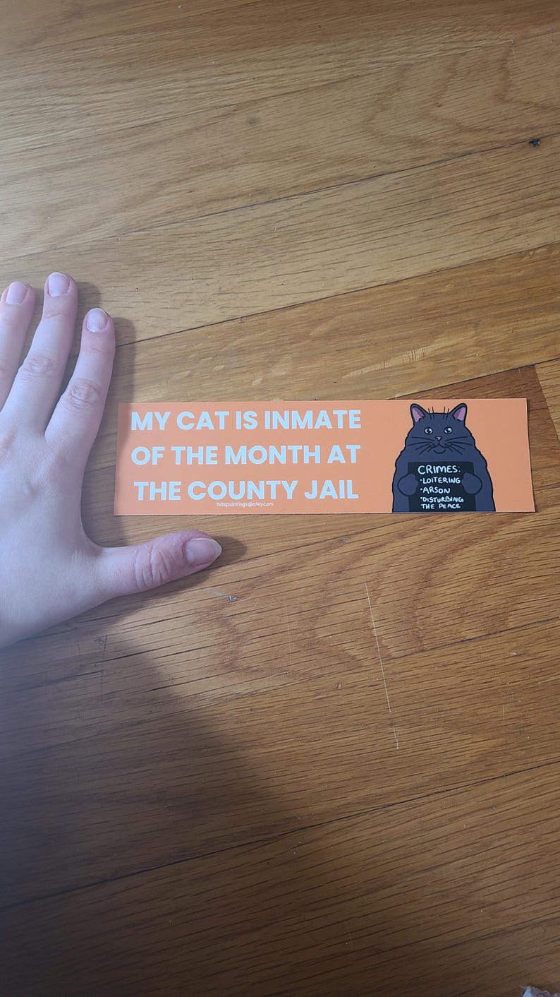 May include: An orange sticker with the text "MY CAT IS INMATE OF THE MONTH AT THE COUNTY JAIL." A cartoon cat illustration holds a sign that reads "CRIMES: LOITERING, ARSON, DISTURBING THE PEACE."