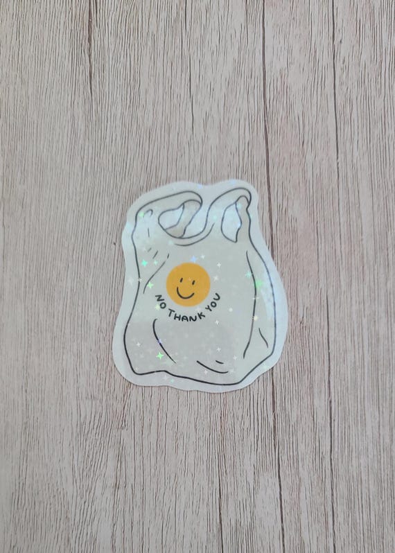 No Thank You Sticker / Funny Sticker / Vinyl Sticker / Sparkle Sticker / Cute Sticker / aesthetic sticker / water resistant sticker