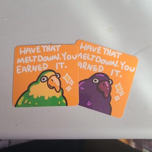 Parrot Meltdown Sticker / Fruit Sticker / Vinyl Sticker / Journaling / Scrapbooking /Hydroflask Sticker / Bird sticker / positive sticker