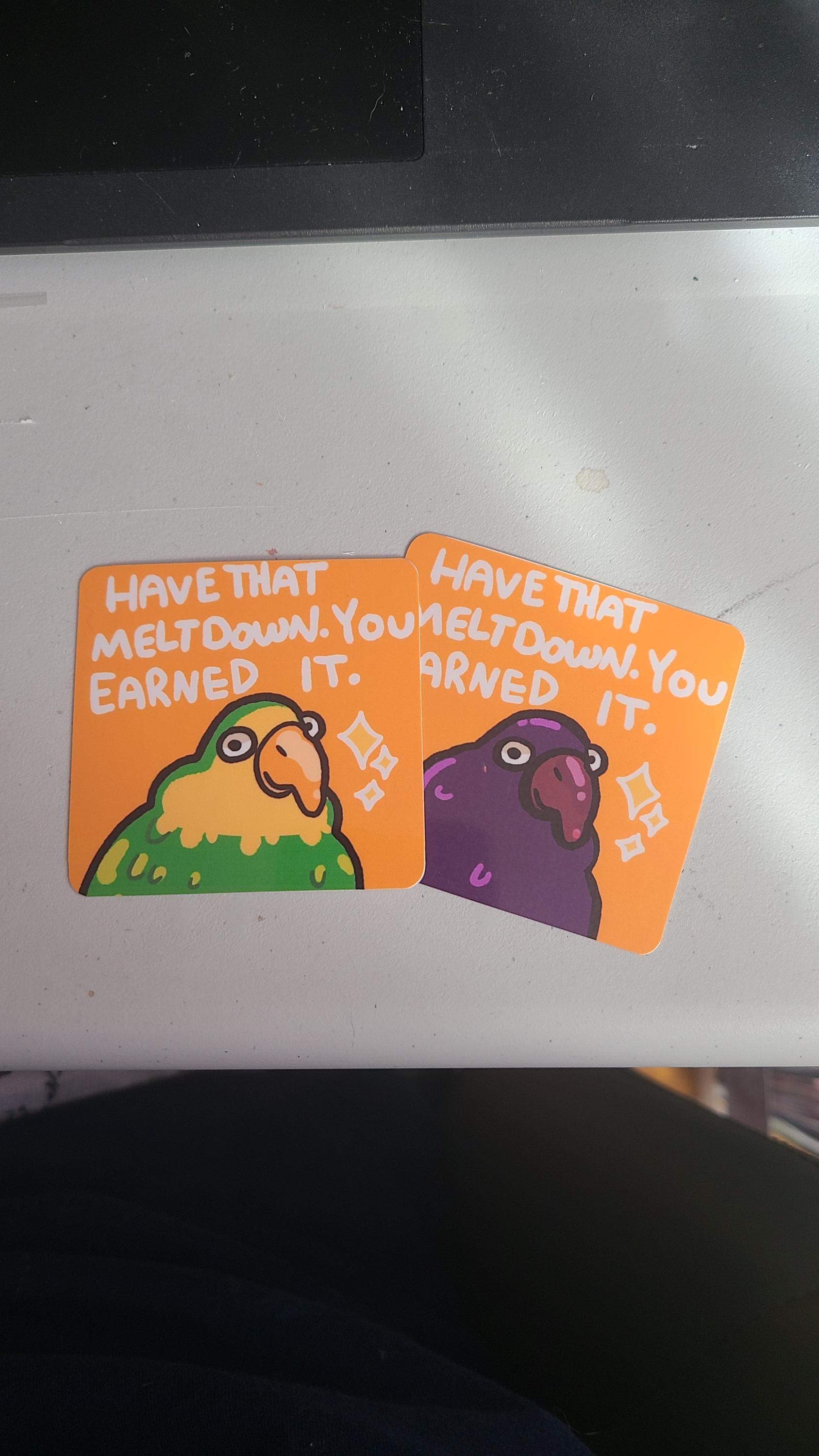 Parrot Meltdown Sticker / Fruit Sticker / Vinyl Sticker / Journaling / Scrapbooking /Hydroflask Sticker / Bird sticker / positive sticker