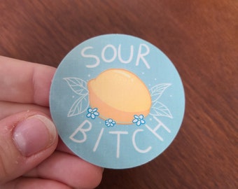 Sour Bitch Sticker / Lemon Sticker / Sticker / Stickers / Offensive Sticker / Funny Sticker / Hydroflask / Journaling / Gift