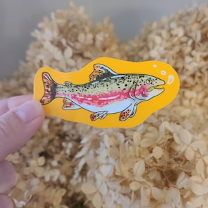 Regenbogen Forelle Aufkleber / Forelle / Angeln / Fisch Aufkleber / Vinyl Aufkleber / Großer Aufkleber / Hydroflask / Aufkleber / Aufkleber / Süßer Aufkleber