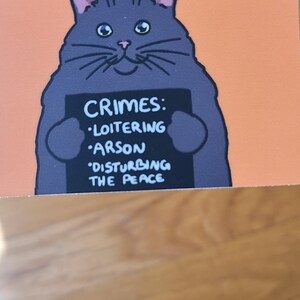 May include: A whimsical illustration of a gray cat holding a sign. The sign reads "CRIMES: LOITERING, ARSON, DISTURBING THE PEACE." The cat has large eyes and a mischievous expression, set against an orange background.