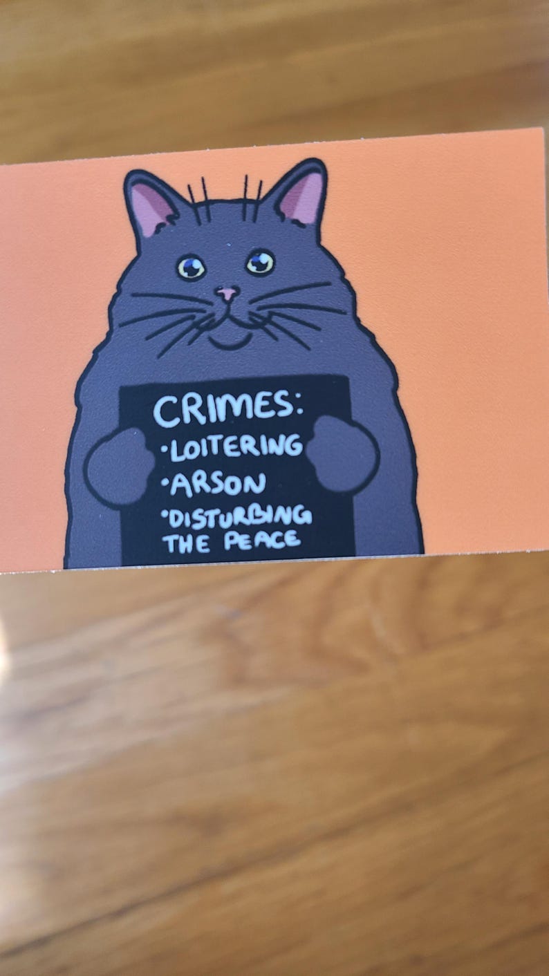 May include: A whimsical illustration of a gray cat holding a sign. The sign reads "CRIMES: LOITERING, ARSON, DISTURBING THE PEACE." The cat has large eyes and a mischievous expression, set against an orange background.