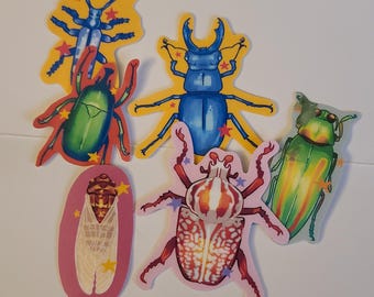 Sei MINI Bug Bros / Pacchetto adesivi / Adesivi resistenti all'acqua / Adesivi per insetti / Insetti / Adesivi per scarabei / Adesivi in vinile / Adesivi per insetti