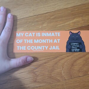 May include: An orange sticker with the text "MY CAT IS INMATE OF THE MONTH AT THE COUNTY JAIL." A cartoon cat holding a sign that says "CRIMES: LOITERING, ARSON, DISTURBING THE PEACE" is on the right.