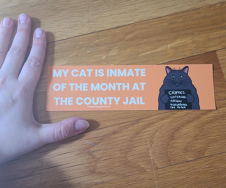 May include: An orange sticker with the text "MY CAT IS INMATE OF THE MONTH AT THE COUNTY JAIL." A cartoon cat holding a sign that says "CRIMES: LOITERING, ARSON, DISTURBING THE PEACE" is on the right.