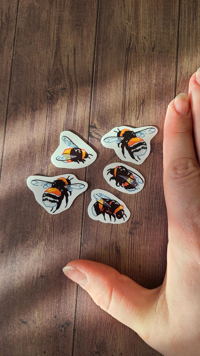 Op de afbeelding: Vijf hommelautocollants op een houten achtergrond. De stickers zijn wit met zwarte en gele hommels.