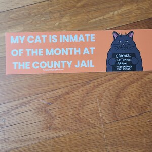 May include: An orange bumper sticker with white text that reads "MY CAT IS INMATE OF THE MONTH AT THE COUNTY JAIL." A cartoon cat holding a sign that lists "CRIMES: LOITERING, ARSON, DISTURBING THE PEACE."