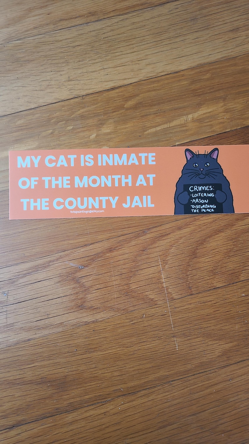 May include: An orange bumper sticker with white text that reads "MY CAT IS INMATE OF THE MONTH AT THE COUNTY JAIL." A cartoon cat holding a sign that lists "CRIMES: LOITERING, ARSON, DISTURBING THE PEACE."