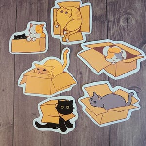 Box kitty Stickers / Cat Stickers / Vinyl Sticker / Journaling / Scrapbooking /Hydroflask Sticker / Cat / Waterproof Sticker / Sticker pack