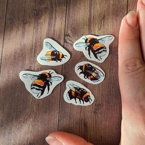 Op de afbeelding: Vijf hommelautocollants op een houten achtergrond. De stickers zijn wit met zwarte en gele hommels.