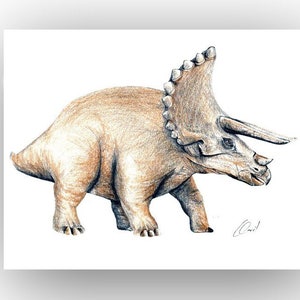 Póster Impreso Dinosaurios, Dibujo para Habitación Infantil, Colegio y Guardería, para los Amantes de los Dinosaurios, TRICERATOPS, Horizontal, A4 o A3