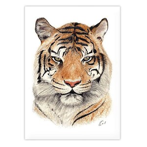 Póster impreso para habitación infantil, póster para guardería, temática de jungla safari, imagen del TIGRE, FORMATO A4 / A3