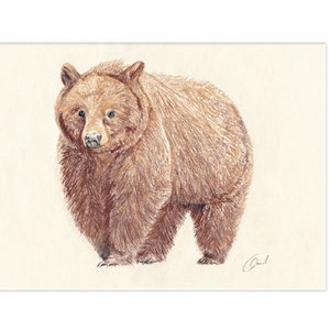 Póster impreso para habitación infantil, póster para guardería, motivo de bosque, ANIMALES DEL BOSQUE - Oso pardo, FORMATO A4 / A3
