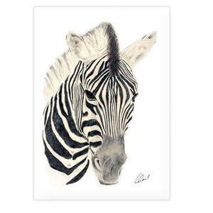 Póster impreso para habitación infantil, póster para guardería, temática de jungla safari, imagen de la CEBRA, FORMATO A4 / A3