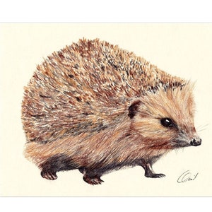 Póster impreso para habitación infantil, póster para guardería, motivo de bosque, ANIMALES DEL BOSQUE - Erizo, FORMATO A4 / A3