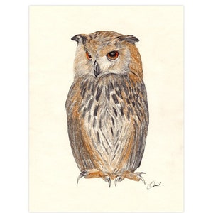 Póster impreso para habitación infantil, Póster para vivero, Motivo forestal, Póster OWL, FORMATO A4 / A3