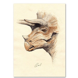 Póster impreso Dinosaurios, para habitación infantil, colegio y guardería, para los amantes de los dinosaurios, Dinosaurio TRICERATOPS A4 o A3