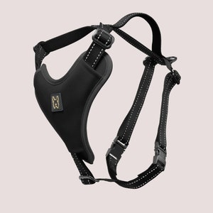 NANDOG Neoprene Harness