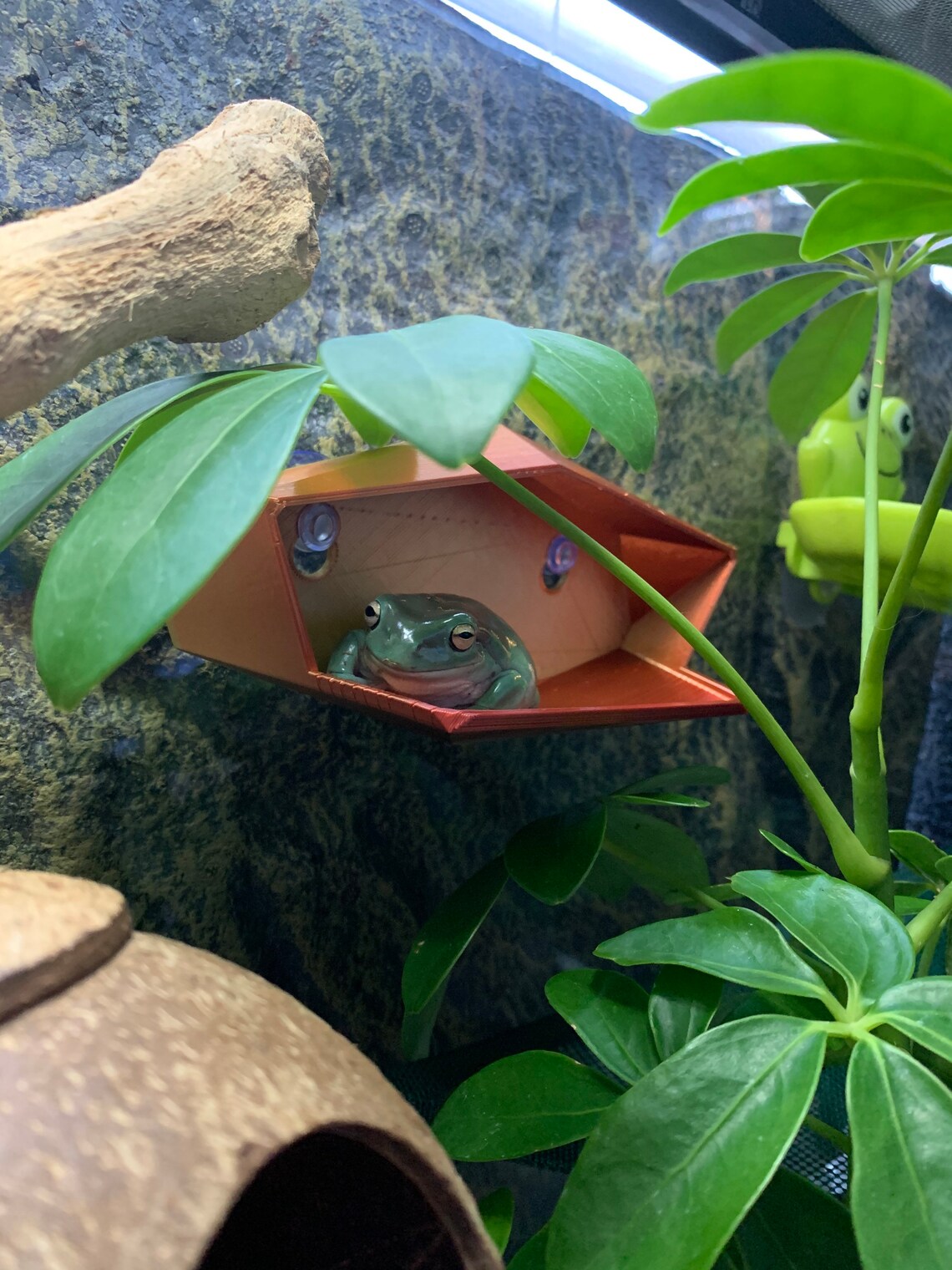 3D Reptile amphibian hide Etsy