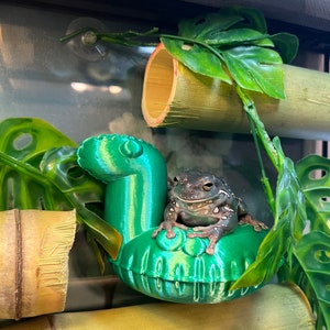3D Reptile amphibian platform/feeding station