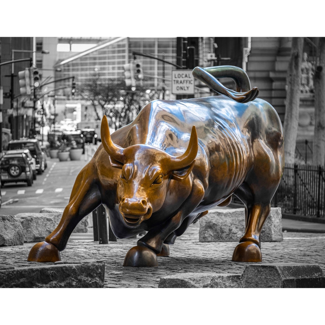 NYC Charging Bull in the Financial District - Bull in Color, Background in  B&W - Etsy