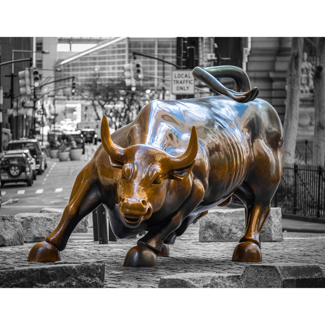 NYC Charging Bull in the Financial District Bull in Color, Background
