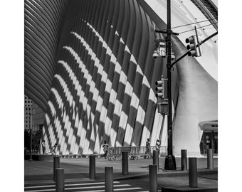 L’Oculus New York en plein soleil avec feux de circulation - B&W