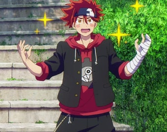reki hoodie sk8